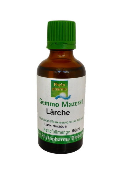 Gemmo Mazerat Lärche (Larix decidua)